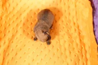 processed/2591c545-fb02-4cb5-b864-def449bf5d1b/listing/330b3274-d846-4bbb-ab1f-93f8745a4458/d70553ff-f387-4ffd-90ee-70145dd9ed44