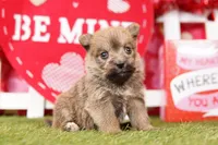 processed/2591c545-fb02-4cb5-b864-def449bf5d1b/listing/330b3274-d846-4bbb-ab1f-93f8745a4458/ee1c1678-2ce3-4f59-adc0-685a09ceaed2