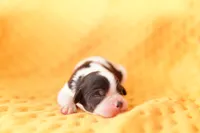 processed/2591c545-fb02-4cb5-b864-def449bf5d1b/listing/3d34b32e-0173-41f6-a049-81c9cf24ba3f/4a504eb5-c88f-401c-931b-da7bb60dbc26