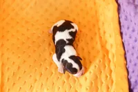 processed/2591c545-fb02-4cb5-b864-def449bf5d1b/listing/3d34b32e-0173-41f6-a049-81c9cf24ba3f/5c19547e-99ae-488d-9c9f-80ea92ceb127