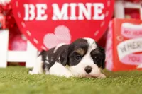 processed/2591c545-fb02-4cb5-b864-def449bf5d1b/listing/3d34b32e-0173-41f6-a049-81c9cf24ba3f/5da03df1-819d-4eb5-a190-632790818a4d