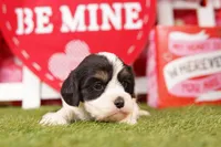 processed/2591c545-fb02-4cb5-b864-def449bf5d1b/listing/3d34b32e-0173-41f6-a049-81c9cf24ba3f/910abd0d-d181-455e-8b3b-8a2559a10d77