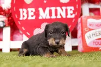 processed/2591c545-fb02-4cb5-b864-def449bf5d1b/listing/49ad5743-bd23-47e5-8177-e3cda8edeed3/1083a8ef-7f2c-475f-8191-ac0d223d7d71