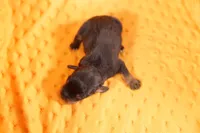 processed/2591c545-fb02-4cb5-b864-def449bf5d1b/listing/49ad5743-bd23-47e5-8177-e3cda8edeed3/4c3571d0-d614-4cc4-a4be-adde1cb88020