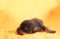 processed/2591c545-fb02-4cb5-b864-def449bf5d1b/listing/49ad5743-bd23-47e5-8177-e3cda8edeed3/8aa15869-9081-4cc6-bb29-2d17253406f5