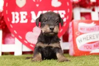 processed/2591c545-fb02-4cb5-b864-def449bf5d1b/listing/49ad5743-bd23-47e5-8177-e3cda8edeed3/dfbeae37-5e13-4a9c-8f56-f99f9510ede4