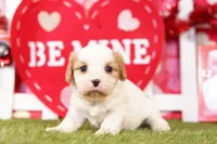 processed/2591c545-fb02-4cb5-b864-def449bf5d1b/listing/4bcfad3e-5a54-4067-822d-3aee0795fd83/21775487-6381-4d0f-b784-508c157215b6