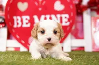 processed/2591c545-fb02-4cb5-b864-def449bf5d1b/listing/4bcfad3e-5a54-4067-822d-3aee0795fd83/3727029f-0d33-47d9-bb20-1e705f9d6c3d