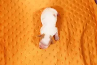 processed/2591c545-fb02-4cb5-b864-def449bf5d1b/listing/4bcfad3e-5a54-4067-822d-3aee0795fd83/573164d9-1a96-4b8f-8d24-617db7c4f79d