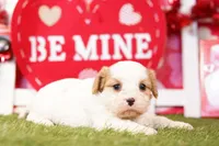 processed/2591c545-fb02-4cb5-b864-def449bf5d1b/listing/4bcfad3e-5a54-4067-822d-3aee0795fd83/e36921b9-5aa1-4c2a-8df4-ef9ed6eb3a39