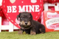 processed/2591c545-fb02-4cb5-b864-def449bf5d1b/listing/505e68cb-95bc-4492-a761-7129cfceb1c7/6eb45204-3115-46ff-8f42-3e5d6492e6f6