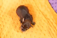 processed/2591c545-fb02-4cb5-b864-def449bf5d1b/listing/505e68cb-95bc-4492-a761-7129cfceb1c7/cdd11c49-ec20-45e8-8a0d-ccafba0c8392