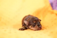 processed/2591c545-fb02-4cb5-b864-def449bf5d1b/listing/505e68cb-95bc-4492-a761-7129cfceb1c7/efe88ad9-30c8-4c75-ae8e-ac9df908f3d4