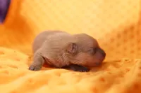 processed/2591c545-fb02-4cb5-b864-def449bf5d1b/listing/5272e431-6c72-42d1-9f7b-3e60f60ac235/63c161f6-68c3-4400-9c00-39876ece8bcf