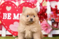 processed/2591c545-fb02-4cb5-b864-def449bf5d1b/listing/5272e431-6c72-42d1-9f7b-3e60f60ac235/f586316d-1292-4e18-a978-df35cf03fcc1