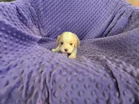 processed/2591c545-fb02-4cb5-b864-def449bf5d1b/listing/68549e7f-1dce-4e69-a645-83a78a11863a/0b08aae6-c03c-4860-a9ea-0c0e8e50cc72