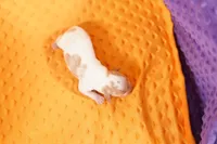 processed/2591c545-fb02-4cb5-b864-def449bf5d1b/listing/68549e7f-1dce-4e69-a645-83a78a11863a/4ec90f63-c11f-4151-9b95-35948e10b240