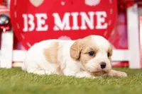 processed/2591c545-fb02-4cb5-b864-def449bf5d1b/listing/68549e7f-1dce-4e69-a645-83a78a11863a/56c94954-5ebb-4d92-9ee5-29be859308f2