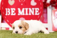 processed/2591c545-fb02-4cb5-b864-def449bf5d1b/listing/68549e7f-1dce-4e69-a645-83a78a11863a/afeb1b6a-7ce5-409a-9896-4f60f2261178