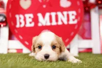 processed/2591c545-fb02-4cb5-b864-def449bf5d1b/listing/68549e7f-1dce-4e69-a645-83a78a11863a/e3aa700f-0556-4317-a6c8-a35d71092687