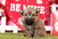 processed/2591c545-fb02-4cb5-b864-def449bf5d1b/listing/6a35f588-96ed-4f7e-aeb6-fbe813cd3a4a/00a516b9-976a-4ff3-bec7-36ab2a82329c