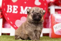 processed/2591c545-fb02-4cb5-b864-def449bf5d1b/listing/6a35f588-96ed-4f7e-aeb6-fbe813cd3a4a/6ef0f6c1-276c-48be-bcbf-b22b0702c069