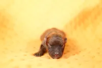 processed/2591c545-fb02-4cb5-b864-def449bf5d1b/listing/6a35f588-96ed-4f7e-aeb6-fbe813cd3a4a/8d4af38f-98a1-4b20-9085-ca72aa2ff07a