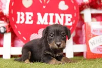 processed/2591c545-fb02-4cb5-b864-def449bf5d1b/listing/711c4205-6ff1-46e8-a90c-616a50670257/083478dd-546f-40f7-a738-c311f3bce6c6