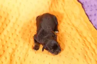 processed/2591c545-fb02-4cb5-b864-def449bf5d1b/listing/711c4205-6ff1-46e8-a90c-616a50670257/503fe8d3-9c03-433c-a067-cde1a080db59