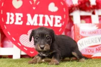 processed/2591c545-fb02-4cb5-b864-def449bf5d1b/listing/711c4205-6ff1-46e8-a90c-616a50670257/879ec3b6-1b60-4a37-b60d-93ce356879f5