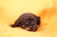 processed/2591c545-fb02-4cb5-b864-def449bf5d1b/listing/711c4205-6ff1-46e8-a90c-616a50670257/af1a8752-7888-4c31-b1f2-09178fb725a5