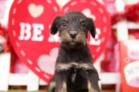 processed/2591c545-fb02-4cb5-b864-def449bf5d1b/listing/711c4205-6ff1-46e8-a90c-616a50670257/f81106d4-c49e-4917-b424-430c7b628079