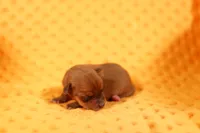 processed/2591c545-fb02-4cb5-b864-def449bf5d1b/listing/73622fa9-bbd4-4fc5-8921-265d0d1dc95d/6b515746-1198-4ec7-bb4c-981801db8143