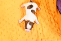 processed/2591c545-fb02-4cb5-b864-def449bf5d1b/listing/7a4eda4d-4d4a-45d9-9713-765ec38e2d33/22520fe5-bee2-4b70-9078-d1b103b04ebb