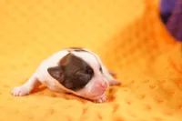 processed/2591c545-fb02-4cb5-b864-def449bf5d1b/listing/7a4eda4d-4d4a-45d9-9713-765ec38e2d33/a0773c68-953a-48a2-9871-124458a55040