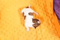 processed/2591c545-fb02-4cb5-b864-def449bf5d1b/listing/9256c60c-5dc0-4c7e-ac19-f1c4ff9b133e/c2a42e95-cbed-48b5-902c-6f57a16514c3