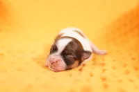 processed/2591c545-fb02-4cb5-b864-def449bf5d1b/listing/9256c60c-5dc0-4c7e-ac19-f1c4ff9b133e/db40d854-9d80-44bb-ba82-6f226ea83216