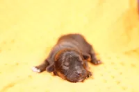 processed/2591c545-fb02-4cb5-b864-def449bf5d1b/listing/97c88aca-8838-446a-8110-cc36cdfa0e23/1305ab82-f172-4c3e-aa16-419b88b231f4