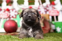 processed/2591c545-fb02-4cb5-b864-def449bf5d1b/listing/97c88aca-8838-446a-8110-cc36cdfa0e23/39096565-7d4b-4c8c-a9db-748dc93ab417