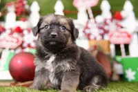 processed/2591c545-fb02-4cb5-b864-def449bf5d1b/listing/97c88aca-8838-446a-8110-cc36cdfa0e23/84048196-3b00-42b2-b679-f1e42aa5193b