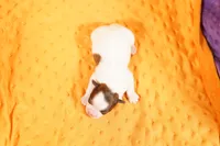 processed/2591c545-fb02-4cb5-b864-def449bf5d1b/listing/a9cae3b4-7fc7-49a0-a02f-bdb33a7a84c0/3adfd5ab-2f0a-4959-9b6c-0c946b7fab2f