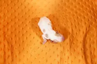 processed/2591c545-fb02-4cb5-b864-def449bf5d1b/listing/aba4b9b8-4cff-4278-bd56-5a1b4f1ba6d9/920ce310-1df9-49b2-9d22-077b513aaf2c