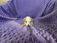 processed/2591c545-fb02-4cb5-b864-def449bf5d1b/listing/aba4b9b8-4cff-4278-bd56-5a1b4f1ba6d9/c7866975-d5a4-448e-b8ef-1aef56eb6bf8