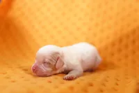 processed/2591c545-fb02-4cb5-b864-def449bf5d1b/listing/abeb42f0-d100-431d-9256-0860ea23c281/010f24bb-63b3-4458-83e4-0f6bf64c9a07