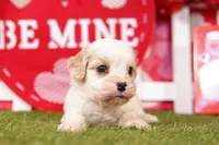 processed/2591c545-fb02-4cb5-b864-def449bf5d1b/listing/abeb42f0-d100-431d-9256-0860ea23c281/52d69bdf-fde3-4c7e-9c03-1f98babfb365