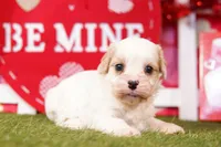 processed/2591c545-fb02-4cb5-b864-def449bf5d1b/listing/abeb42f0-d100-431d-9256-0860ea23c281/5dcbd86a-c0fd-44f4-93e3-6e8b34550f81