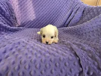 processed/2591c545-fb02-4cb5-b864-def449bf5d1b/listing/abeb42f0-d100-431d-9256-0860ea23c281/99576ec7-a61b-44c3-9508-c37494ce587d