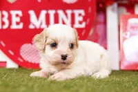 processed/2591c545-fb02-4cb5-b864-def449bf5d1b/listing/abeb42f0-d100-431d-9256-0860ea23c281/b9bd823e-a420-4a12-9ee8-4b551924302e