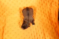 processed/2591c545-fb02-4cb5-b864-def449bf5d1b/listing/b39d5dec-d42f-46ff-9221-996e30a904be/e2887334-db82-4ed7-bc46-ef44089e90f4