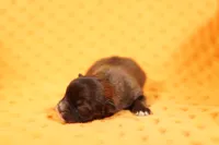 processed/2591c545-fb02-4cb5-b864-def449bf5d1b/listing/b39d5dec-d42f-46ff-9221-996e30a904be/ec6c4d26-9068-486d-908e-e345c4a3bbd4